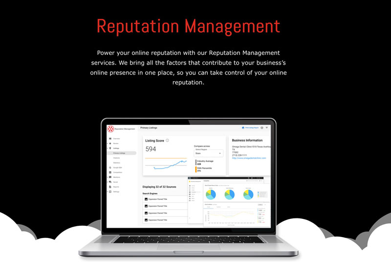 Screen shot of DigitalWires' Reputation Management Services